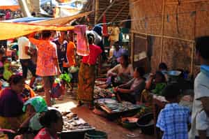 Learn about the life of the Sasak people in Lombok
