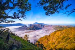 Visit the Bromo Tengger Semeru National Park