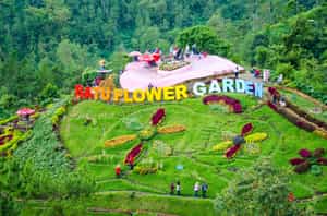 Take a stroll around Batu Flower Garden, Malang