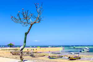 Discover the white sandy beaches of Sanur
