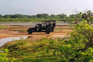 Go on a 4x4 safari in Yala National Park
