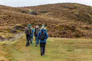 Trek or hike the mountains in San Alfonso