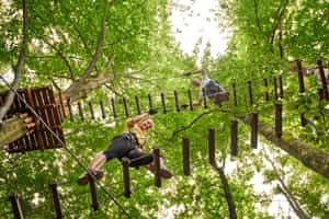 Try out a rope course adventure in San Alfonso