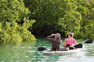 Kayak along the coast of the Marine Reserve
