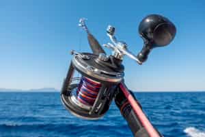 Cast a line out on a deep sea fishing trip 