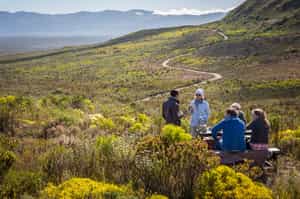 Enjoy a picnic in Grootbos Nature Reserve