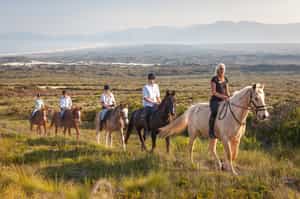 Explore Grootbos Nature Reserve on horseback