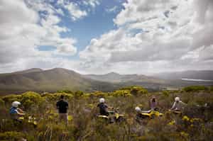 Go on a quad biking excursion in Grootbos
