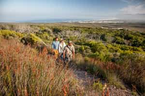 Take a guided nature walk in Grootbos