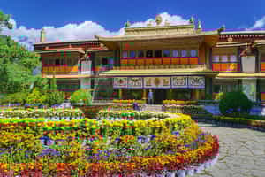 Explore the Norbulingka Palace & surrounding park