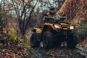 Take a 3-hour ATV tour in the Arenal rainforest 