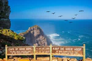 Visit the Cape of Good Hope near Cape Town