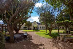 Visit Imhoff Farm in Cape Town