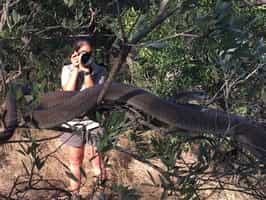 Visit the exciting Hoedspruit Reptile Centre