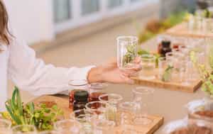 Go on a sensory South African botanical Journey