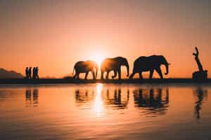 Take an immersive bush walk through Kapama