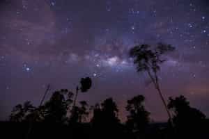 Spend an evening stargazing in Karongwe