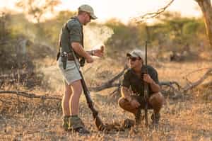 Go on a fascinating walking safari in Makalali