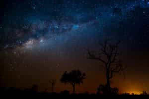 Stargaze against the clear skies of Sabi Sands