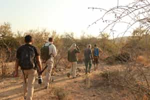 Discover the wilds of the Southern Kruger on foot