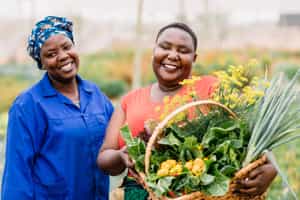 Go on an educational community tour in Thornybush