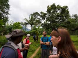 Take a guided walk through the wonders of Gorongosa