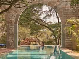 Try The Retreat experience at Giraffe Manor