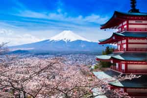 Full Day Kawaguchiko & Mt Fuji 5th Station Excursion
