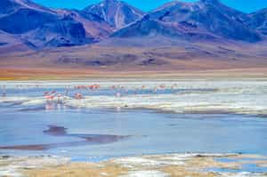 Full Day exploration of Salar de Uyuni