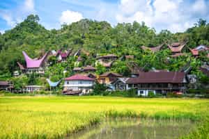 Explore the small villages of Toraja