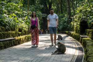Take a stroll through the Monkey Forest in Ubud