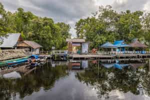 Observe the daily activities of a local village