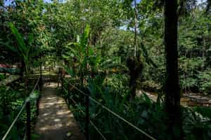 Explore Kuyana Island and the Guitarracocha Trail