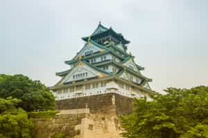 Visit the Osaka Castle