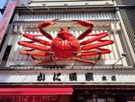 Spot the Kani Doraku moving crab sign in Osaka