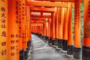 Visit the Fushimi Inari Shrine