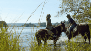 Go on a horseback safari in Victoria Falls