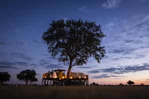 Enjoy a star bed sleep-out at Linkwasha, Hwange 