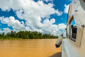 Take a boat ride along Don Diego river 