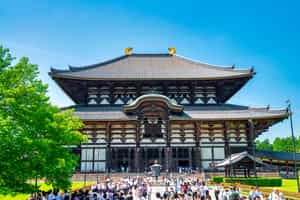 Explore Todaiji Temple in Nara, Kyoto