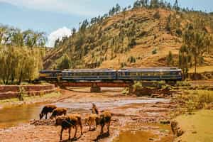 Experience the scenic Vistadome train ride