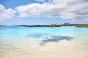 Explore the white sandy beach of Gardner Bay 