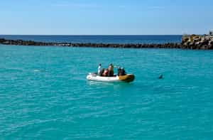 Take a dinghy ride to Gardner & Osborn Island