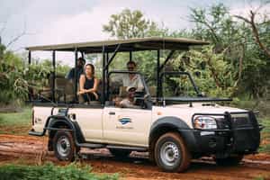 Go on a game drive in Vic Falls, Zimbabwe
