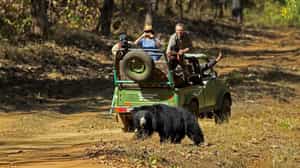 Enjoy the 4X4 safari drive at Bori Wildlife Sanctuary