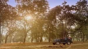 Explore the buffer zones In Bori Wildlife Sanctuary