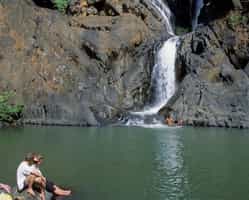 Visit the Dudhsagar ‘Sea of Milk’ waterfall