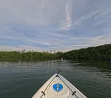 Kayak through the mangroves of Havelock