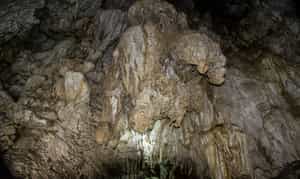 Explore Limestone Caves of Baratang Island 