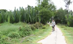 Discover the traditional life in the Go Noi Village